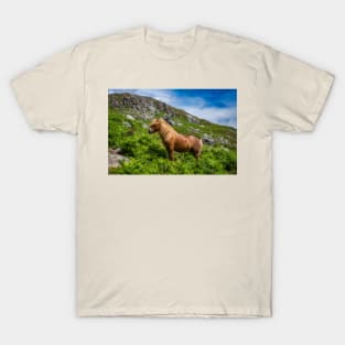 Welsh Mountain Pony T-Shirt